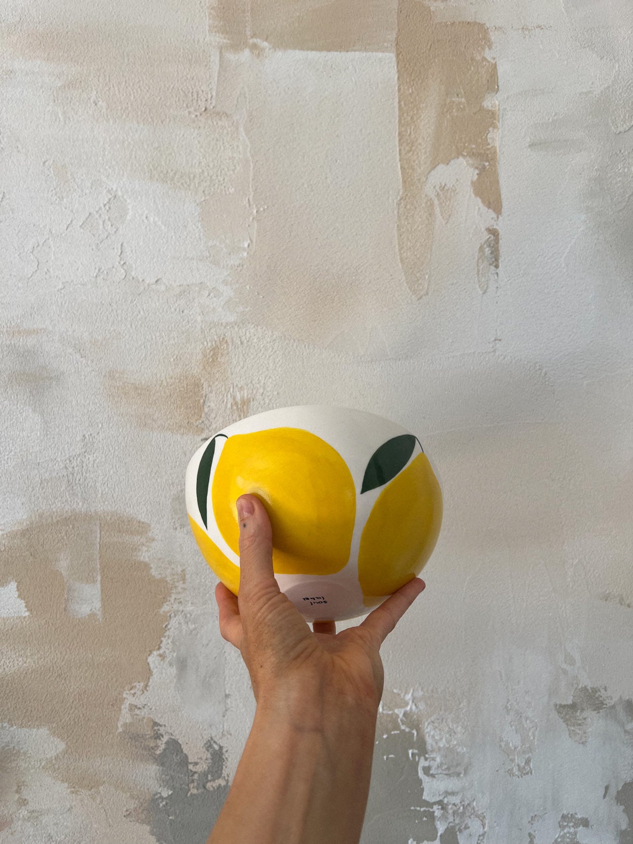 Large bowl of lemons | LA LUZ